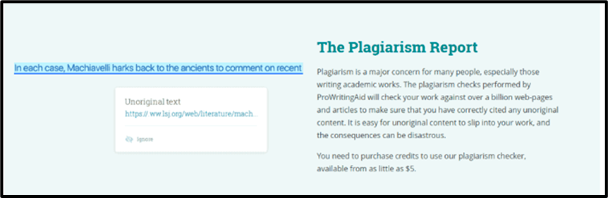 Plagiarism Report